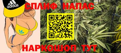 стаф Берёзовский