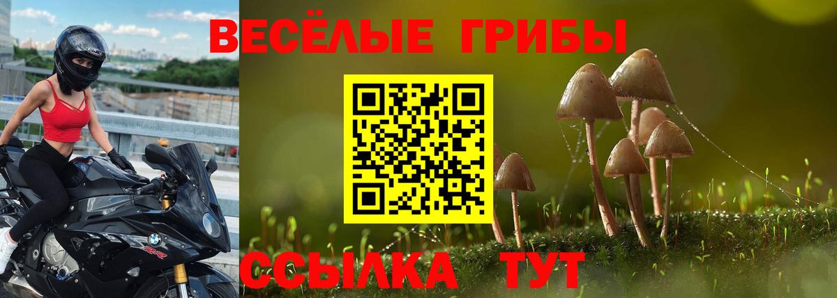 Псилоцибиновые грибы MAGIC MUSHROOMS  Вход с VPN  Ковров  закладка  Галлюциногенные грибы Cubensis 